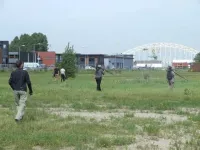 woestijnpieper 